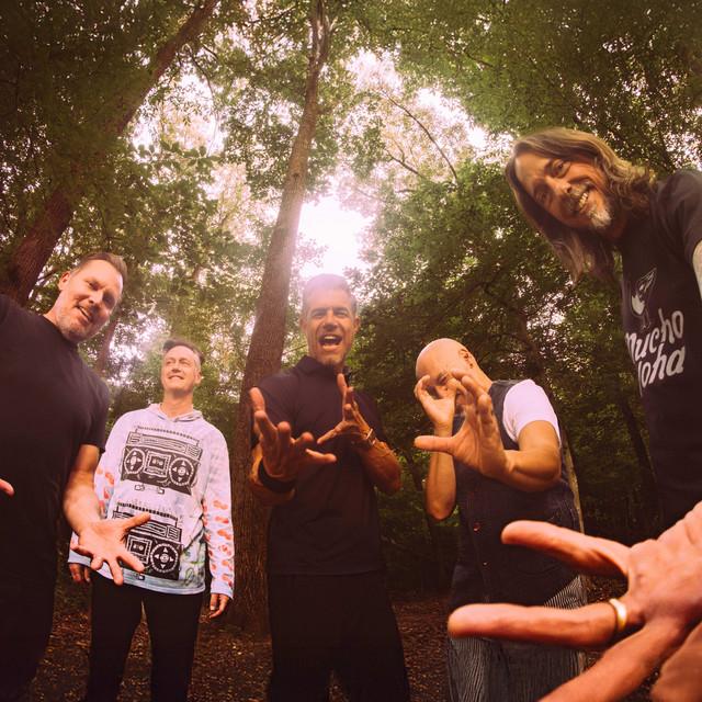 311 and Dirty Heads Concord