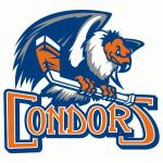 San Diego Gulls at Bakersfield Condors