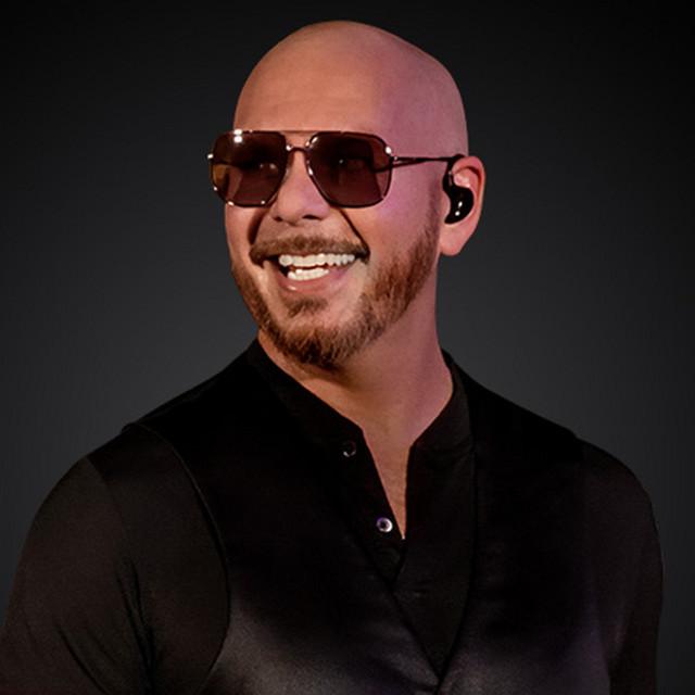 Pitbull Belfast